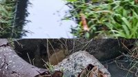 Img 20250824 Wa0036