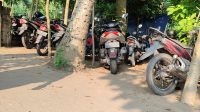 Img 20250826 Wa0079
