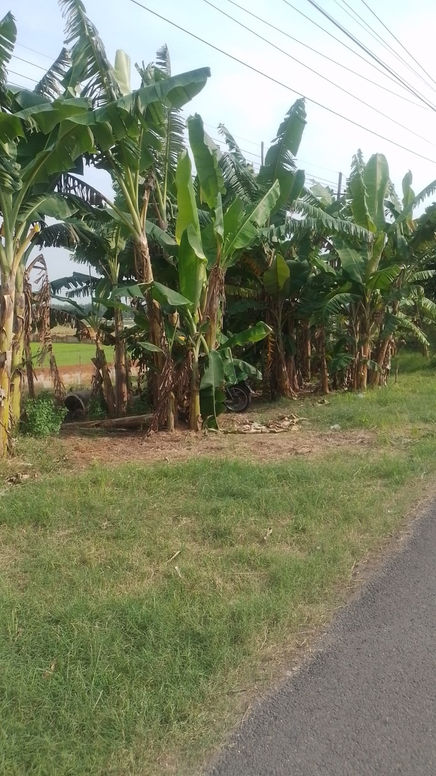 Img 20251126 Wa0090