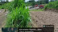 Img 20260203 Wa0042