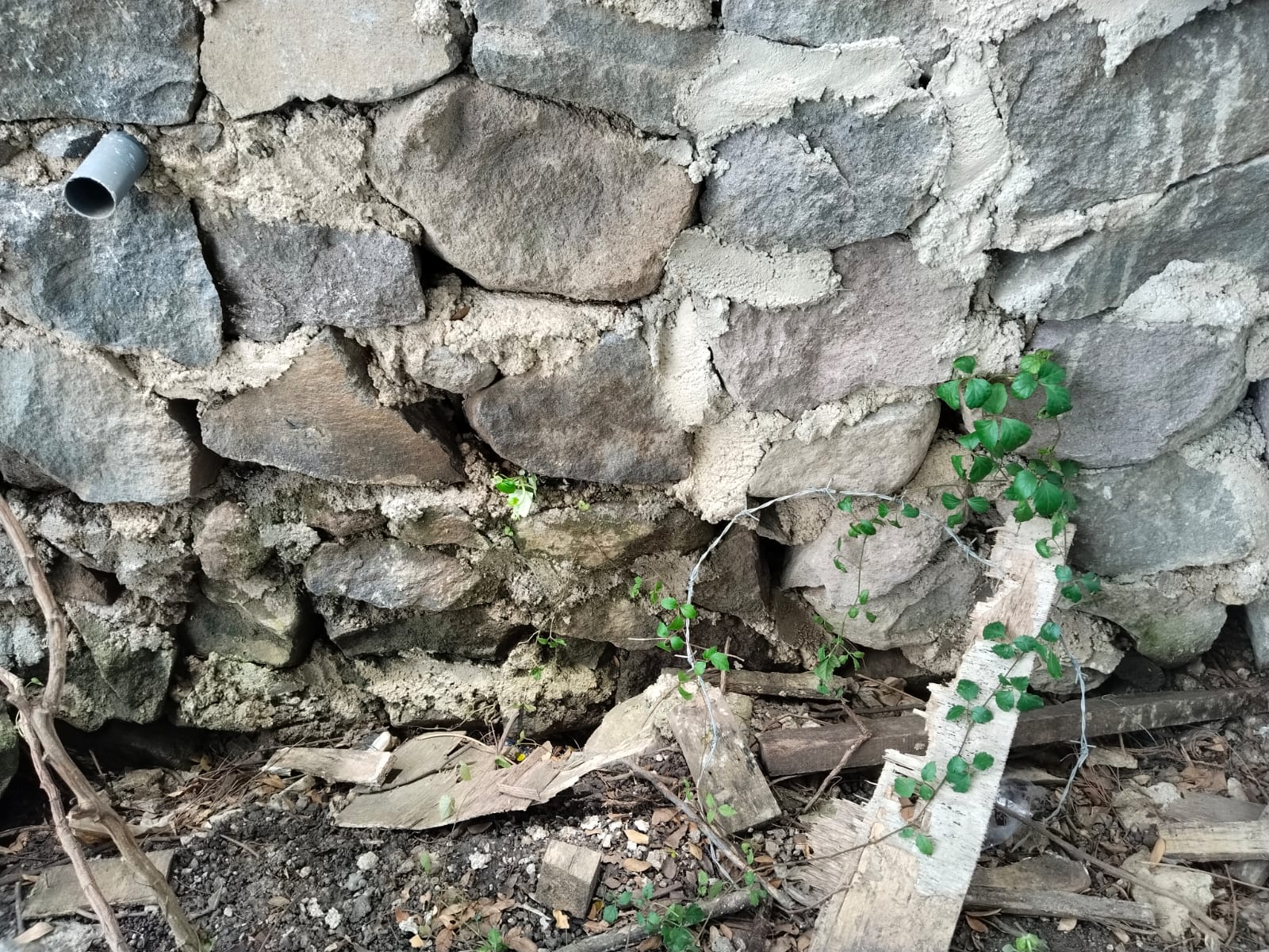 Img 20260223 Wa0155
