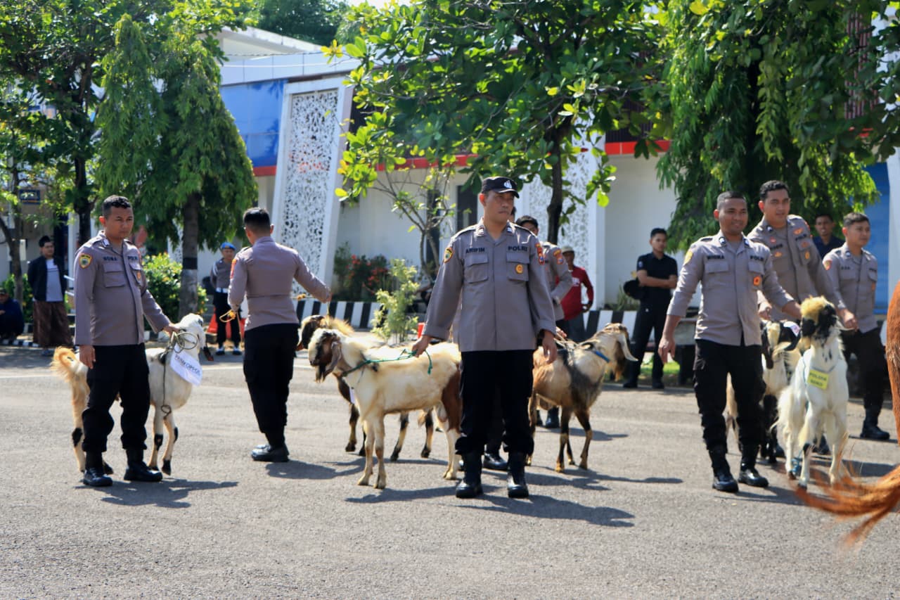Img 20260526 Wa0046